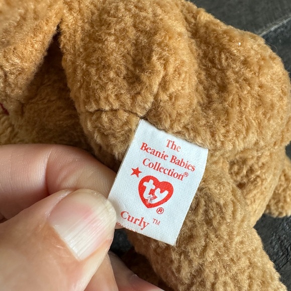RARE Curly Beanie Baby Errors $50! Black Eyes, Brown Nose Ltd Ed, 1996/93 Tags - Picture 7 of 9